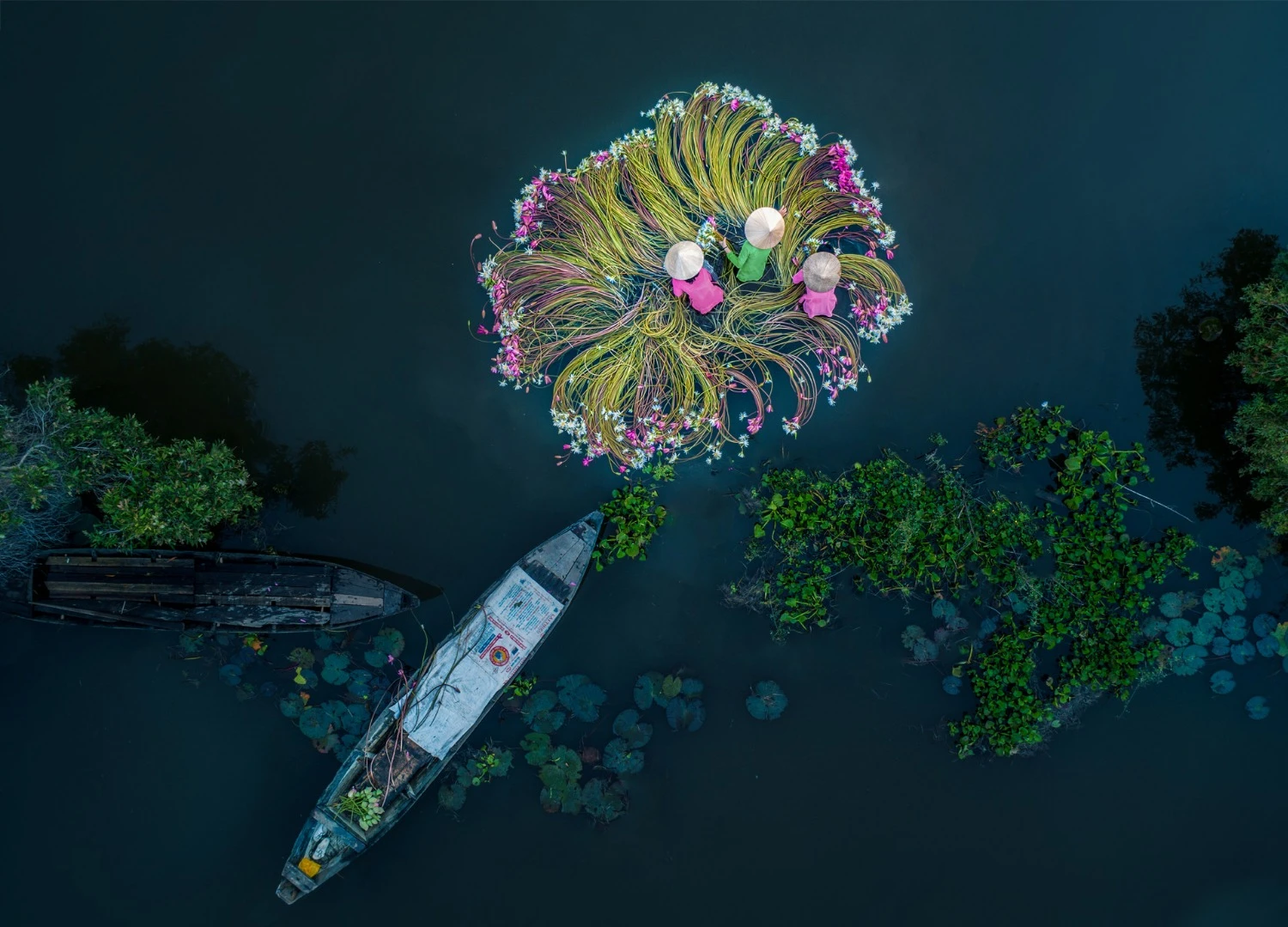 First Place in the Fun category. Women washing flowers before taking them to market in the waters of the Mekong Delta
