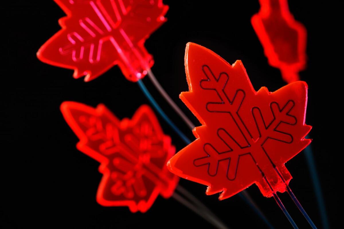 Inspired by a leaf, researchers at TU Eindhoven have developed a "mini-factory" that can use sunlight to manufacture chemical products such as drugs