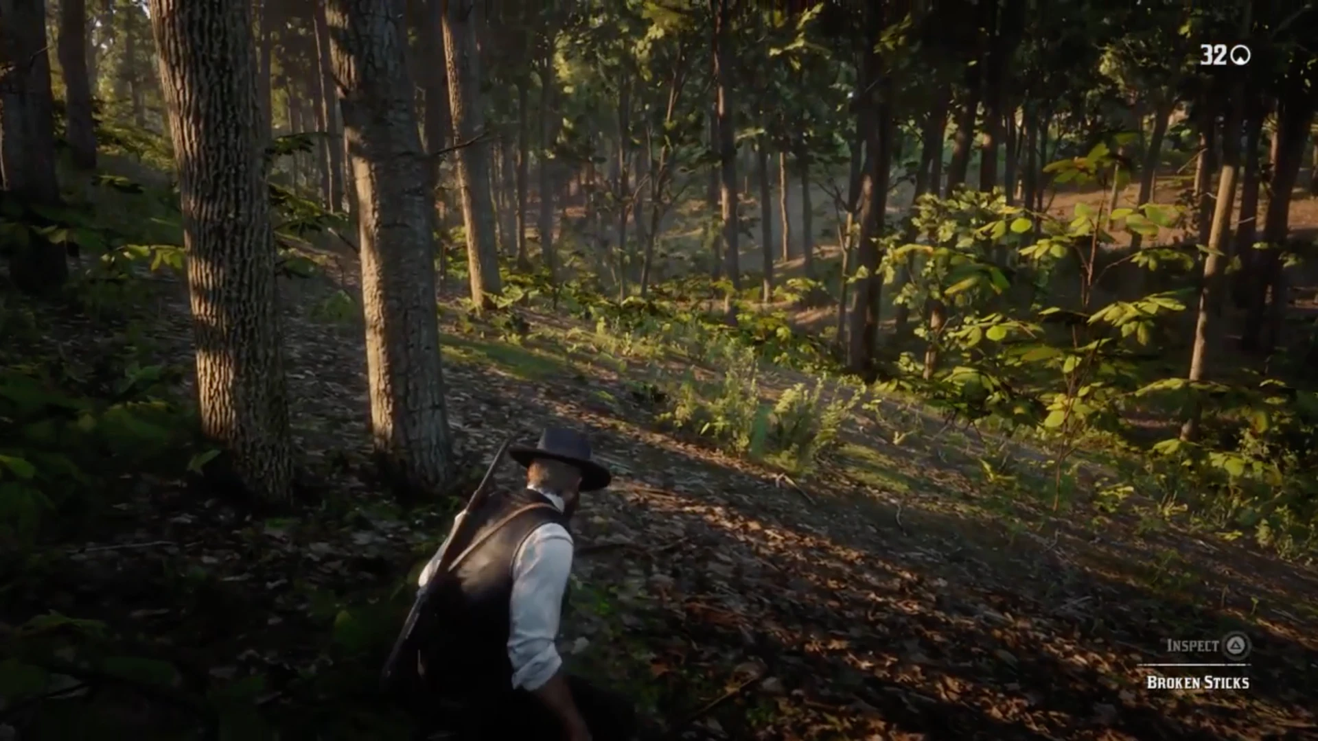 Keep following the trail to find broken sticks