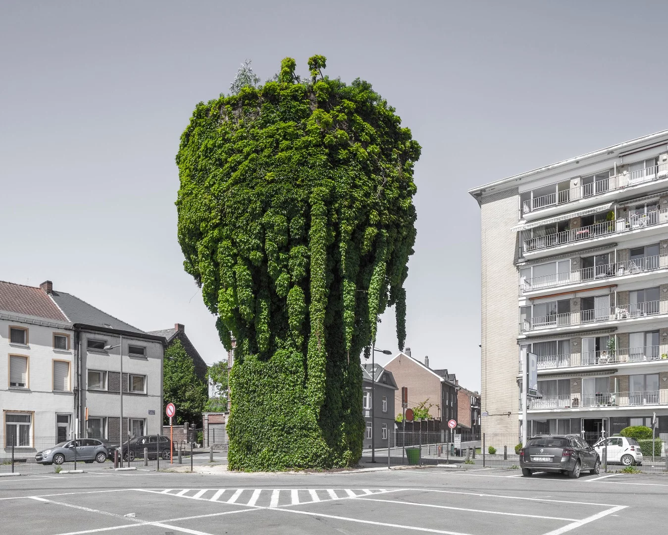 From Paul D'Haese is this series of images titled "Stuffy Shell" examining the ways human beings domesticate the landscape