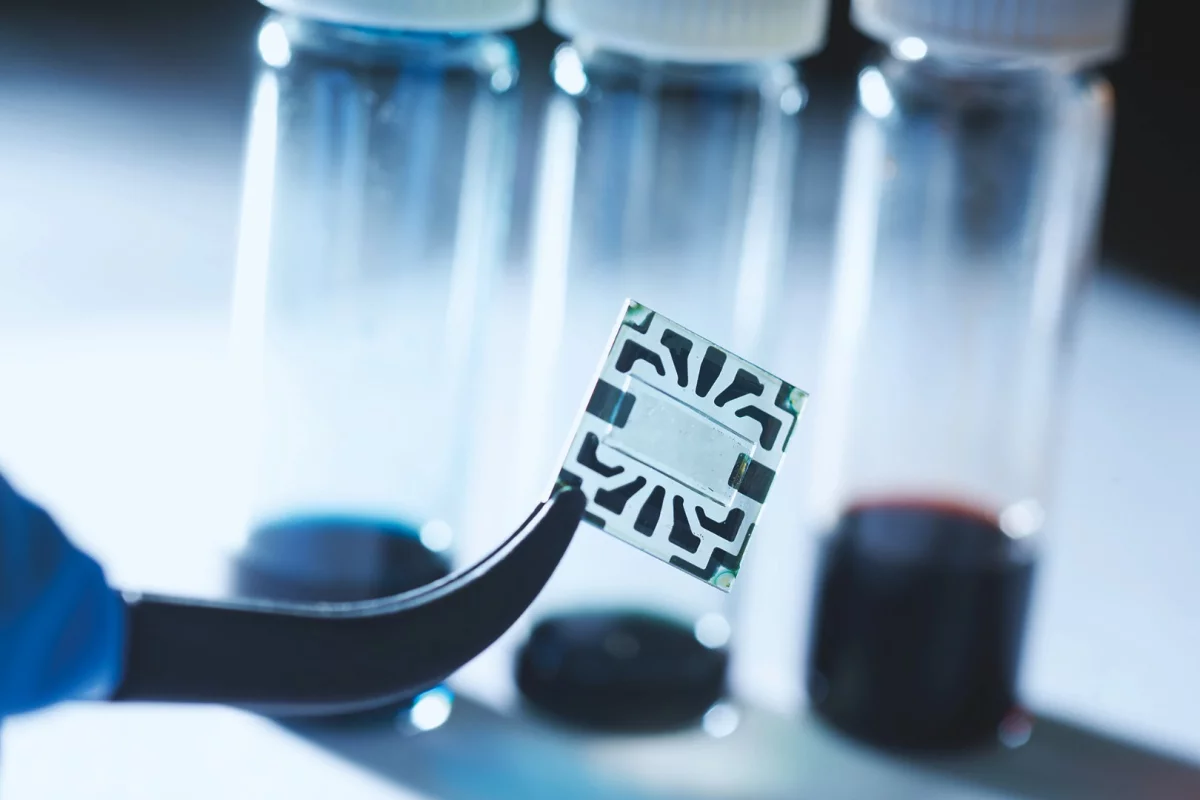 MIT's transparent solar cell, made with graphene electrodes, is seen in the center of this sample: the patterns around the edges are metal contacts for attaching probes to measure performance