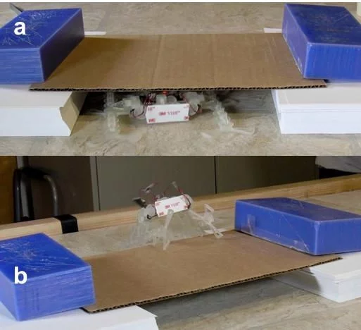 At a 90-degree sprawl, the robot can fit through smaller vertical spaces and travel over rough terrain more easily