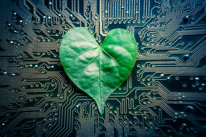 Nature meets science in new "tree-on-a-chip" design