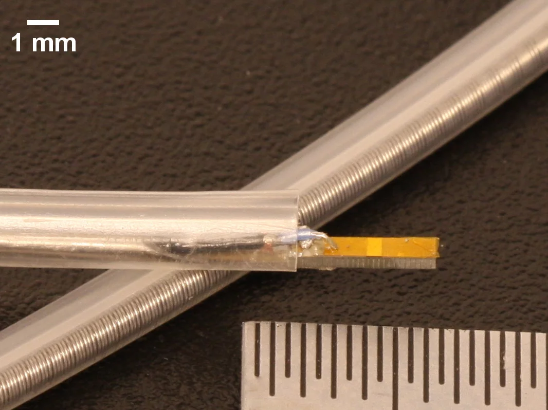 Researchers from North Carolina State University have developed a dual-frequency ultrasound device that could help with the detection of dangerous arterial plaque