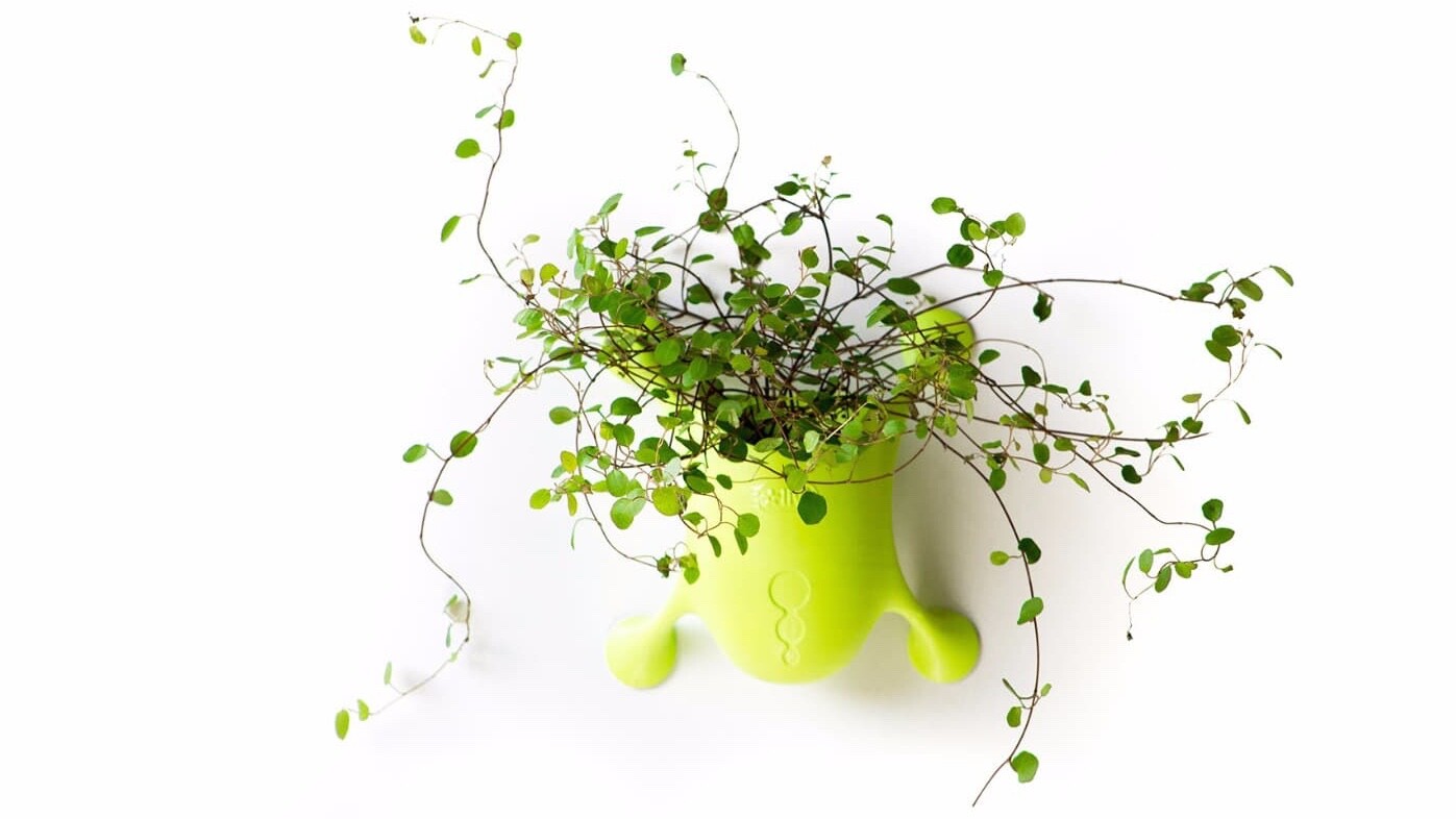 Livi is a simple idea, but provides an attractive way to grow plants inside, on windows, stuck to the side of your fridge, or pretty much anywhere with a flat surface
