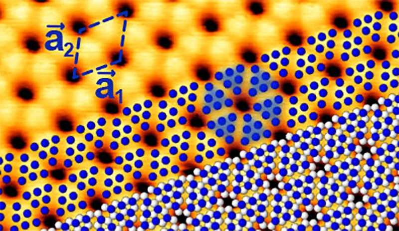 In blue phosphorus, the atoms arrange themselves in a honeycomb pattern like graphene, but buckled, thanks to the shape of the gold substrate underneath