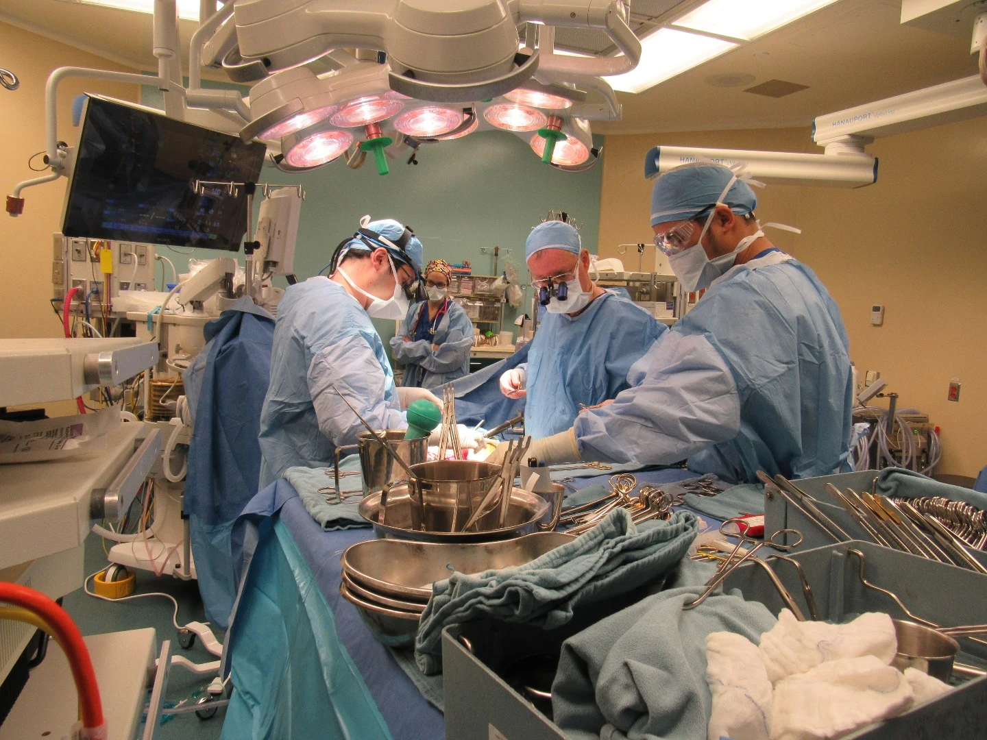 The procedure was performed late last year