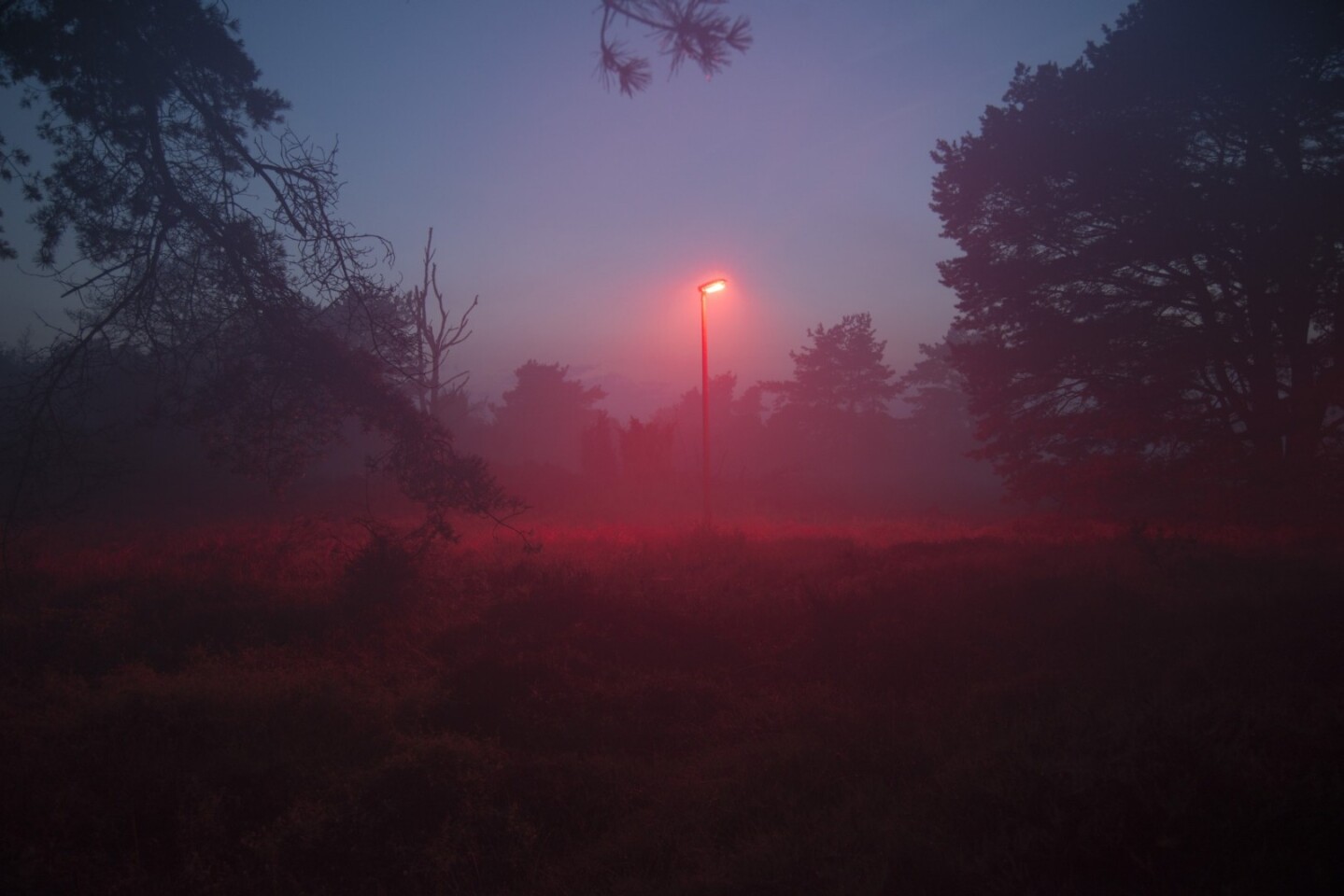 One of the lights being tested in 2017