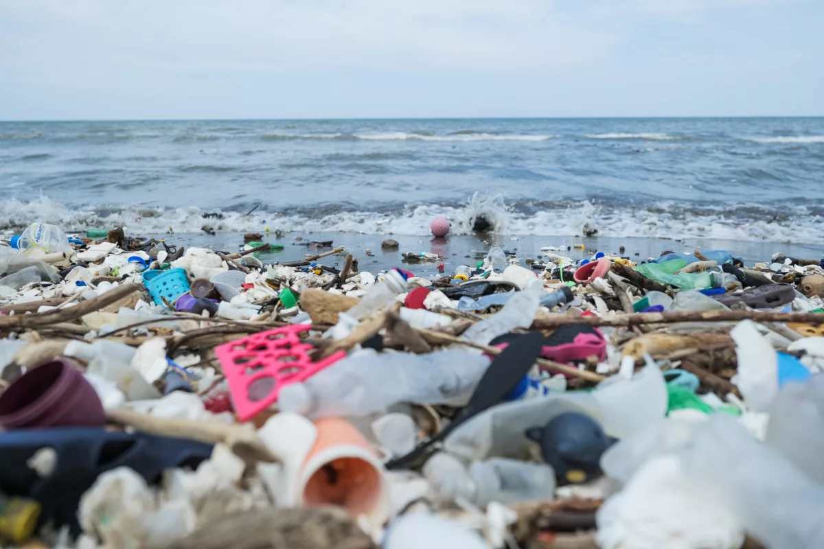 The fungus Parengyodontium album has been found to break down polyethylene waste in the marine environment at a rate of around 0.05% per day