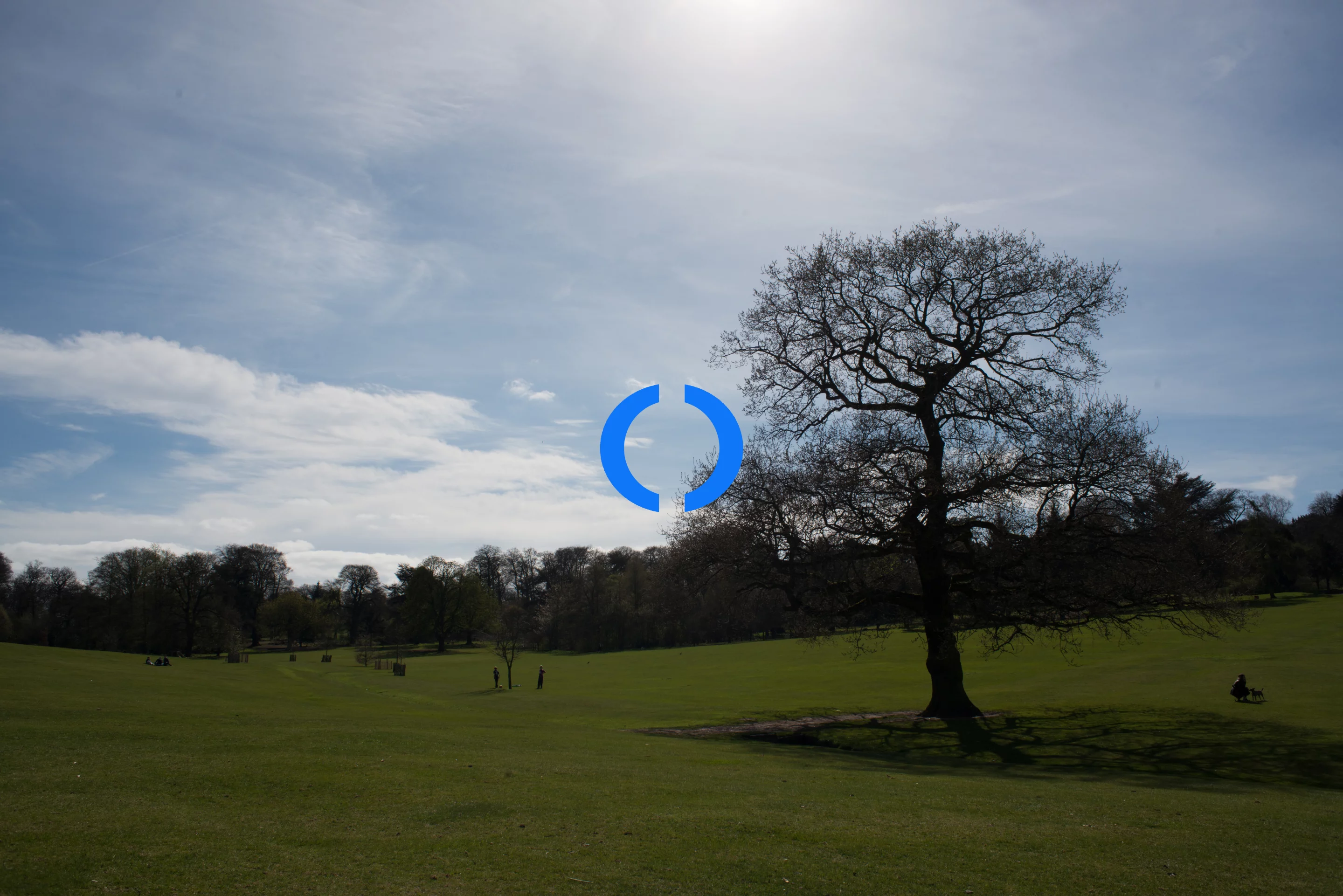 This image was taken with center-weighted metering and as a result is under-exposed because it metered on the bright sky