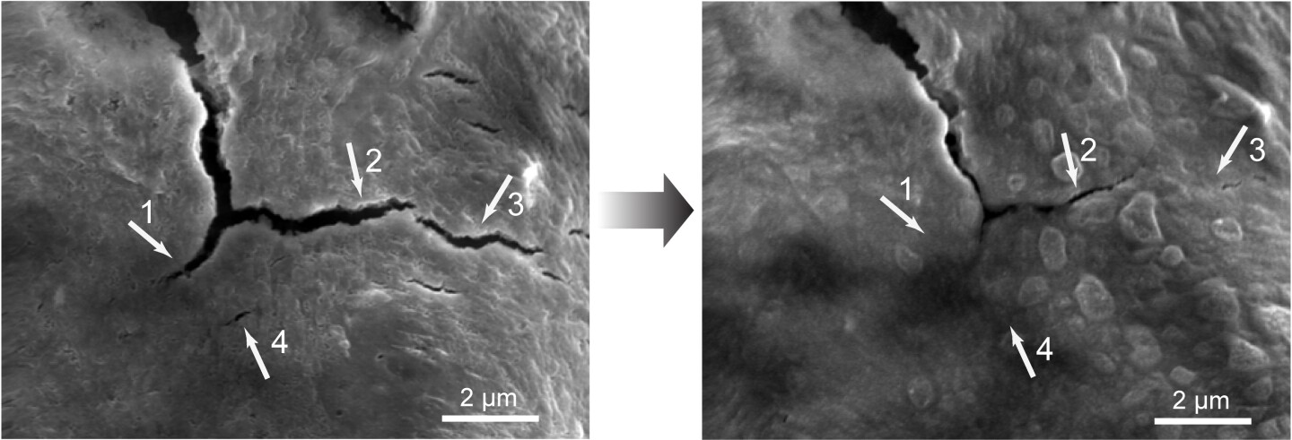 An electron micrograph shows cracks left in the polymer (left), the smaller of which healed within five hours