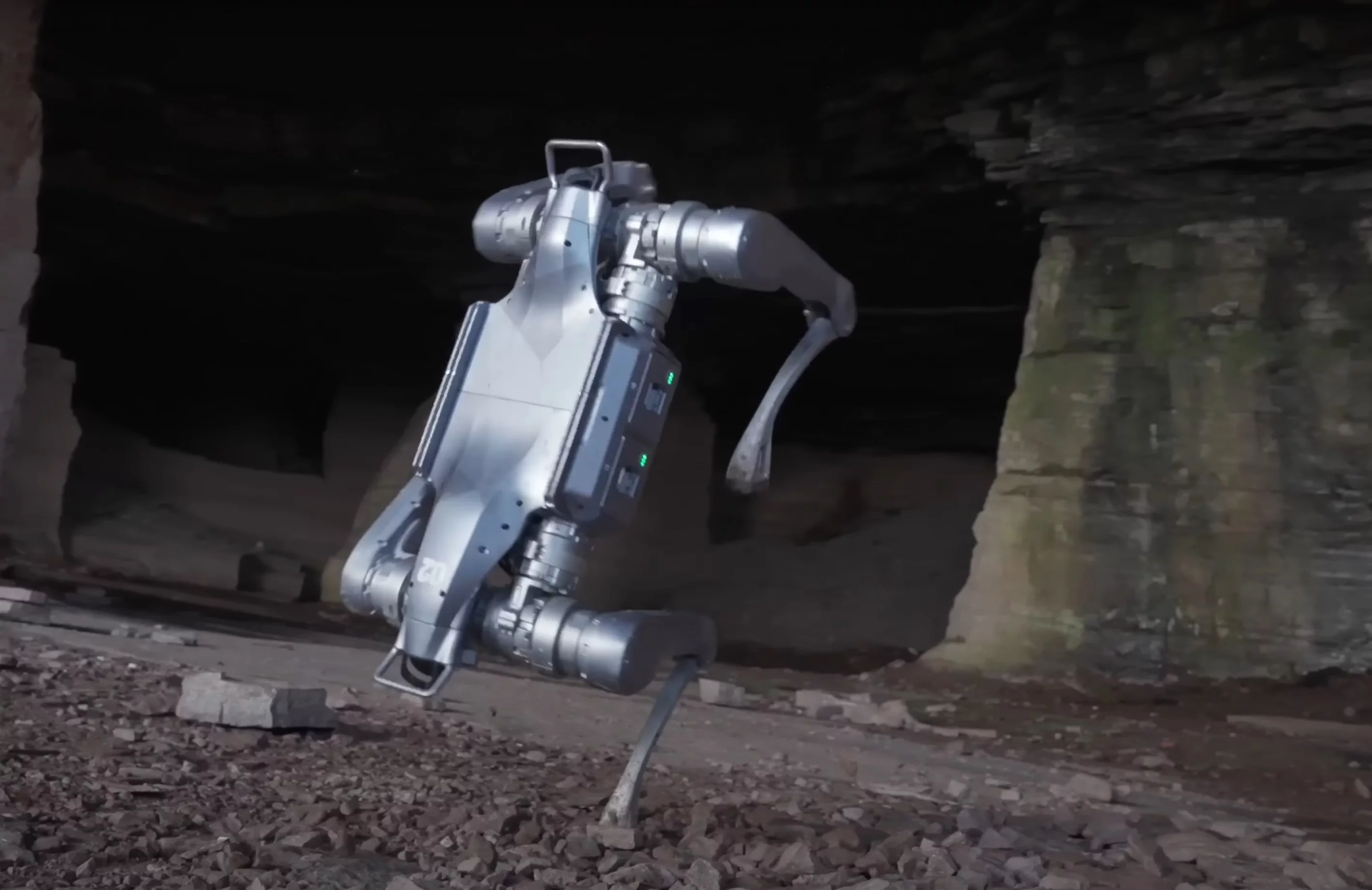 The A2 busting some athletic dance moves, including balancing on one paw