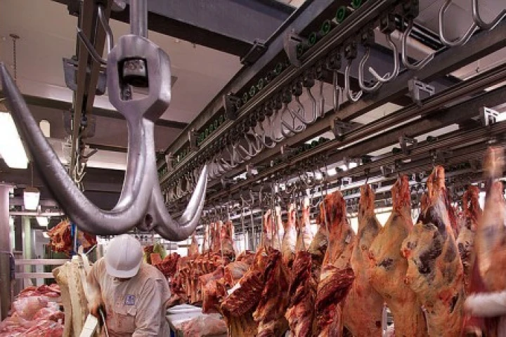 Laboratory grown meat is on the way, but don't expect it to look like this - currently the result looks more like ground scallops (Photo: Jorge Royan)