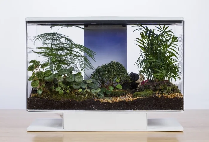 SmartTerra measures 21 x 15.3 x 10 in (53 x 38.7 x 25 cm) and has a volume of 10 gallons (38 L)