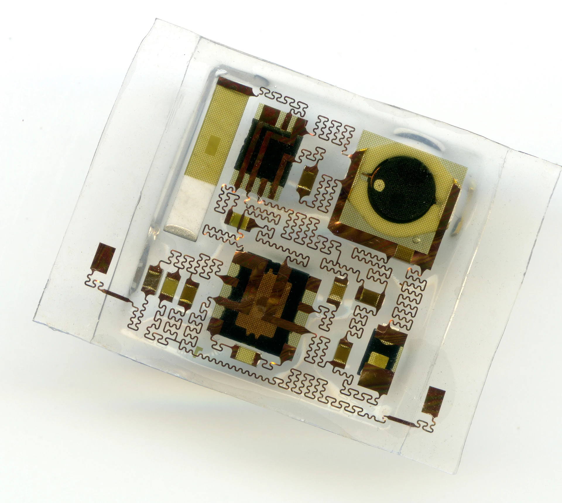 Tests have shown that the patch stacks up well to traditional EKG and EEG monitors (Photo: Felice Frankel)