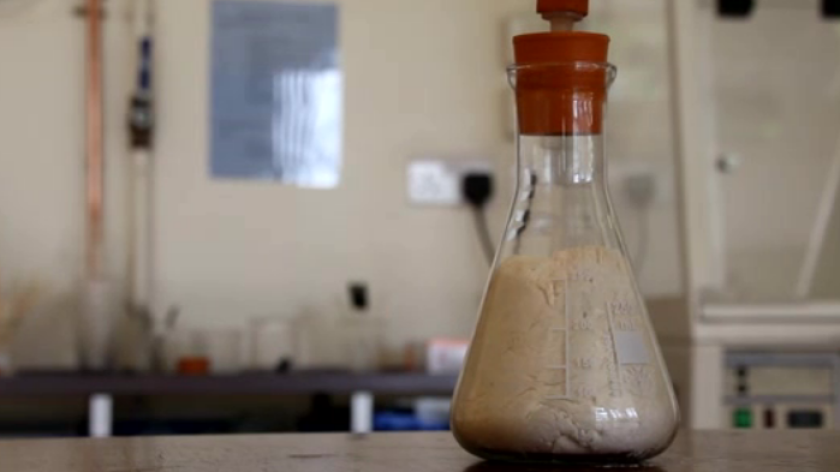 Sam Wilkinson's approach uses “found” carbon dioxide to make the dough rise