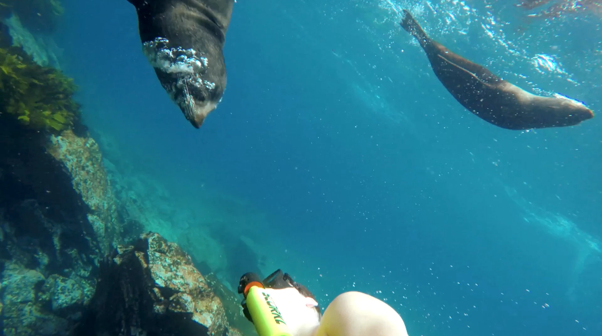 The Scorkl is a lightweight compact breathing device that enables you to breathe underwater for up to 10 minutes.