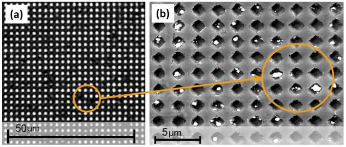 A microscope view of some of the holes, plugged with particles of silver