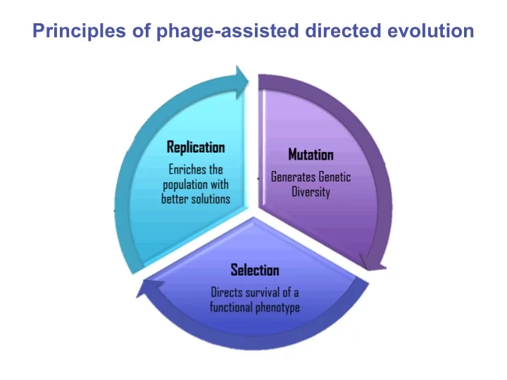 The evolution machine works on much the same principles as natural evolution