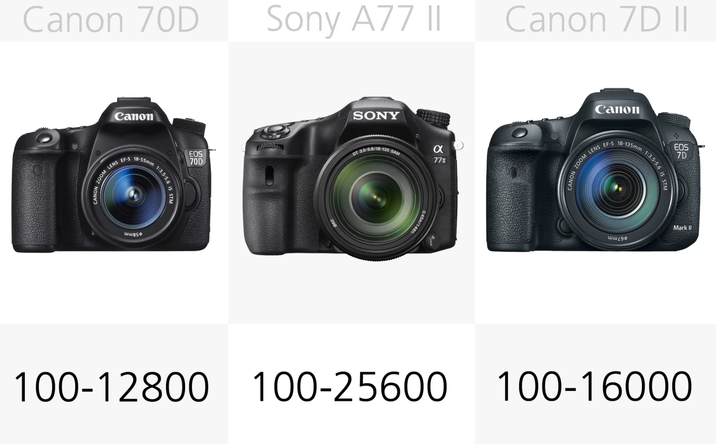 Despite its recommended ISO range, the Canon 7D M2 can be expanded to ISO 51,200