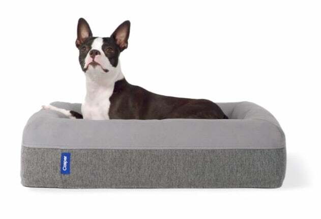 Casper's dog mattress shrinks down the human-sized memory foam mattress, and covers it in sturdy outer layers to withstand chewing and scratching