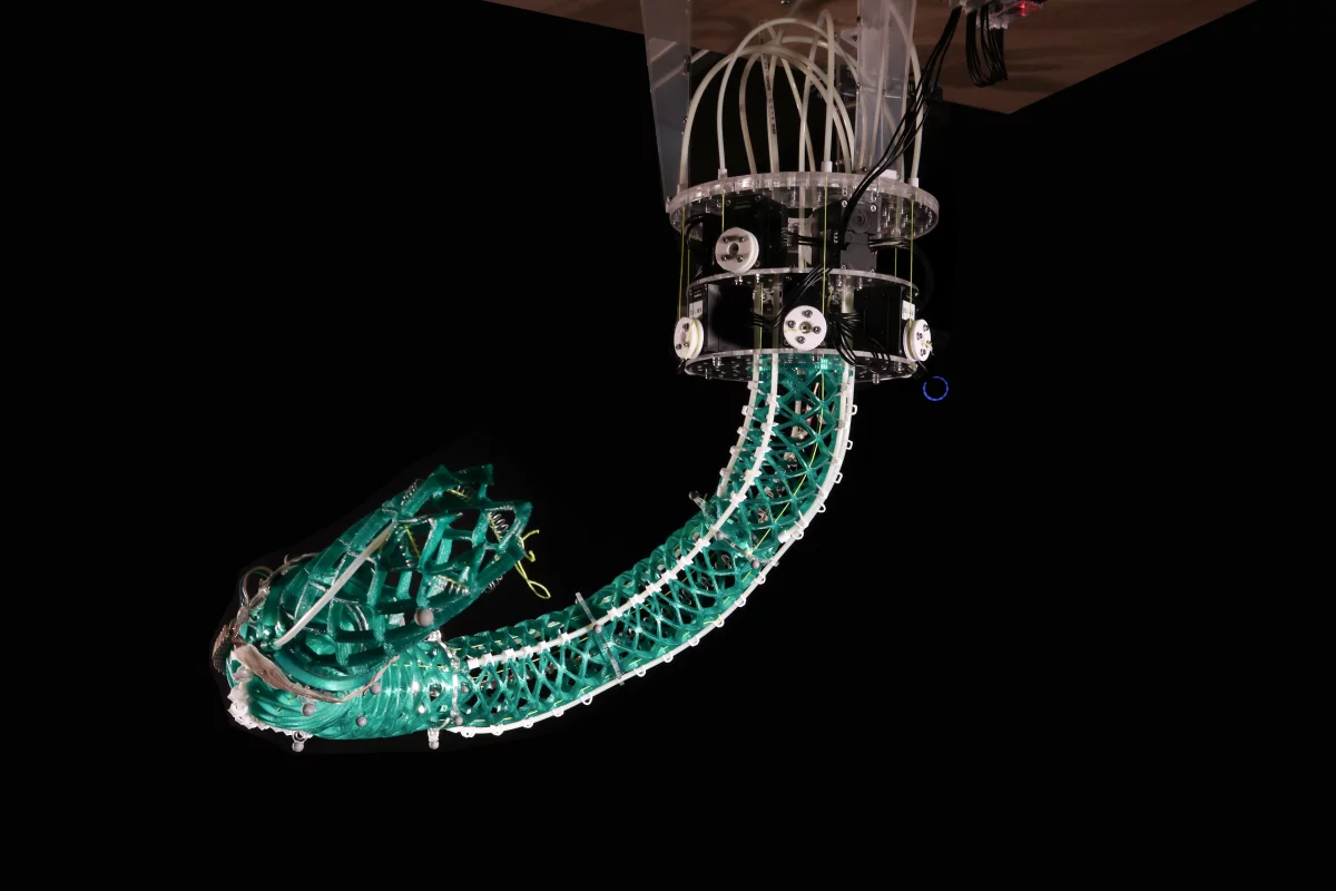 The arm employs what is known as a trimmed helicoid structure