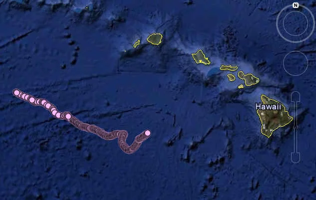 Plot map of the path of the SOLO-TREC autonomous underwater vehicle since its deployment south of Hawaii on November 30, 2009 (Image: NASA/JPL/SIO/NOAA/US Navy/NGA/GEBCO/Google)