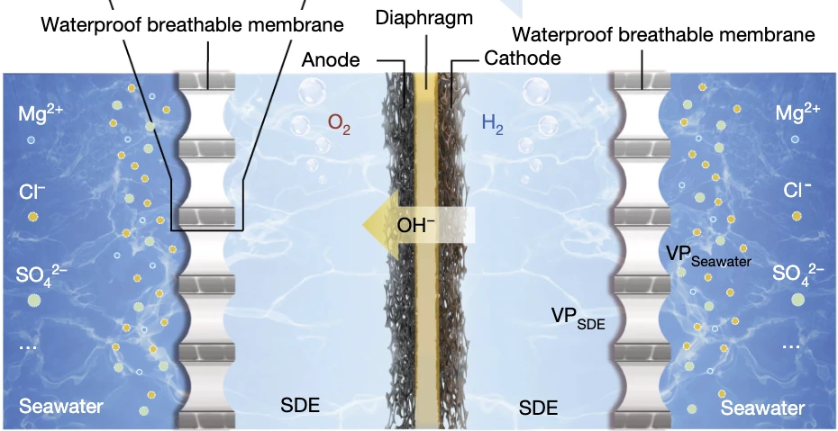 As water is split into hydrogen and oxygen gases out of the electrolyte, it creates a vapor pressure differential between the electrolyte and the seawater, causing the seawater to spontaneously evaporate and pass through the waterproof membrane