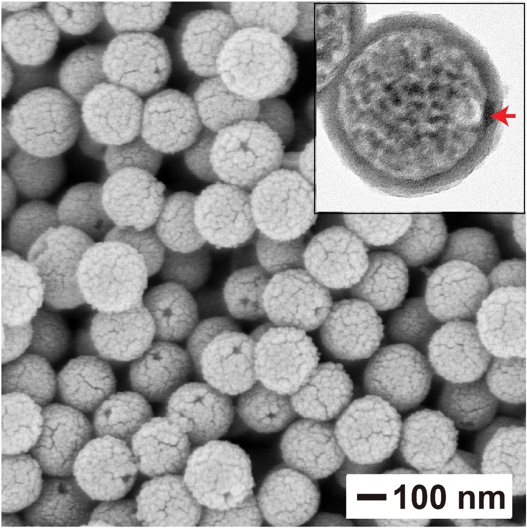 A microscope image of the nanoscale "bottles", hollow spheres made of silica with a hole that delivers the drug on demand