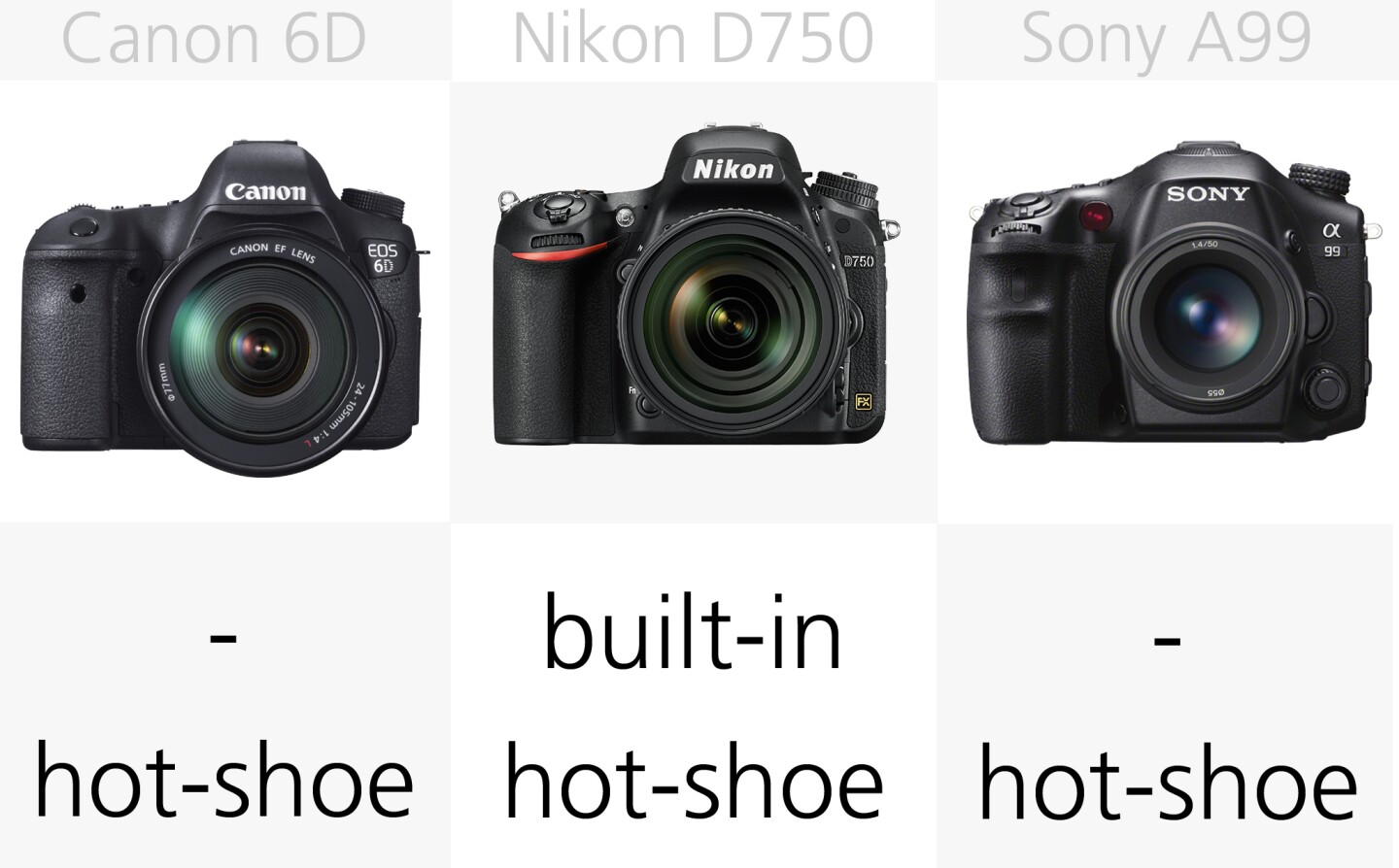 The Nikon D750 and D810 both feature built-in flashes