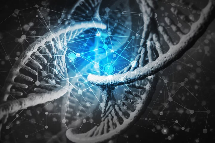 It is estimated around half of people today hold a gene mutation allowing them to better reduce blood sugar levels following meals