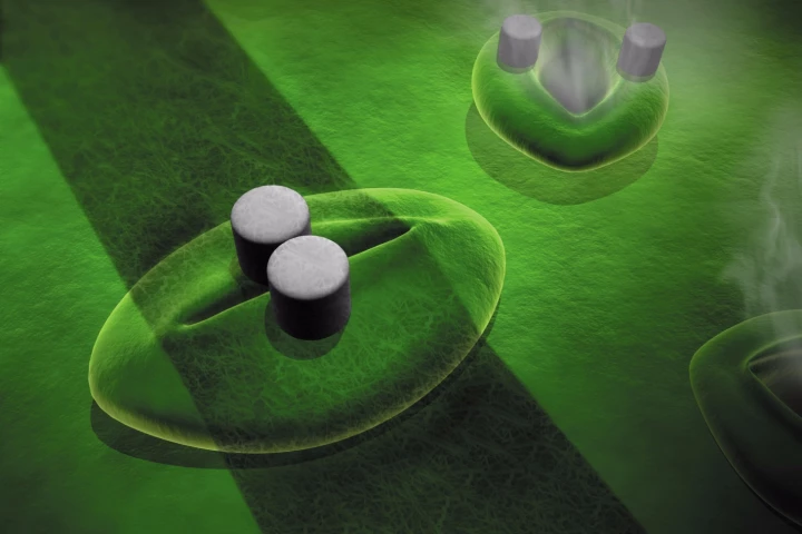 An illustration depicting how one of the sensors might be deployed across an individual stomata