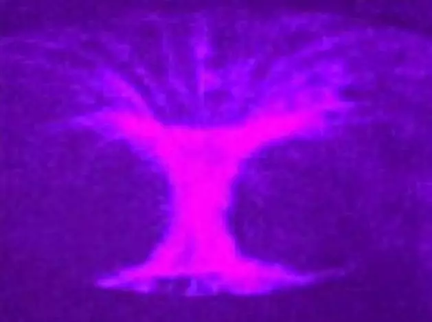 Natural instabilities briefly concentrate plasma into a donut-shaped plasmoid (Image: LPP Fusion)