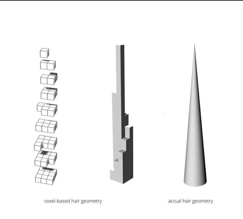 Voxels are used to create the geometry of the hairs