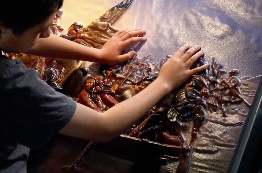 "Our goal is to make the world’s greatest art and greatest photography available to blind people at every museum, every science centre and every cultural institution ..."