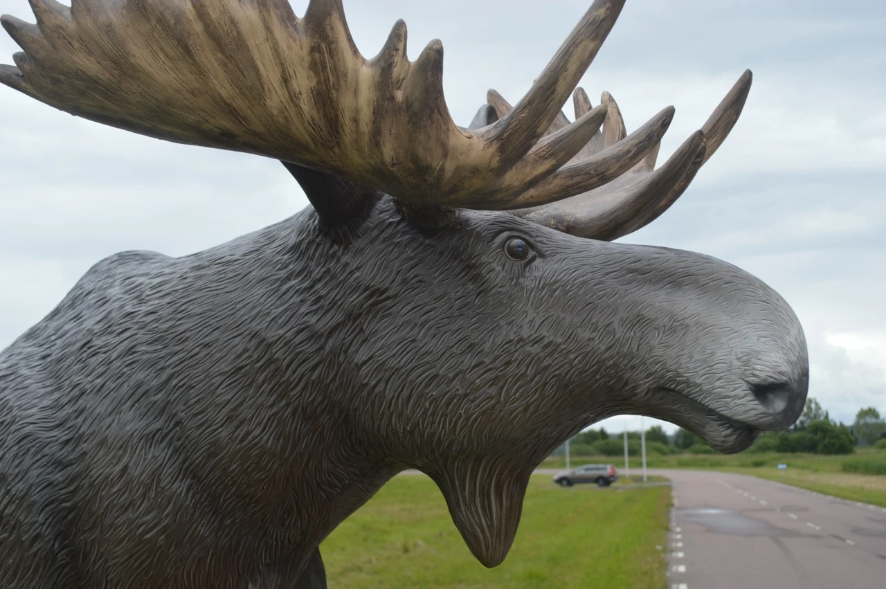 Volvo's famous faux-moose (Photo: Gizmag)