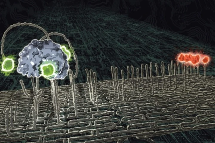 An artist's rendering of the spider nanobot