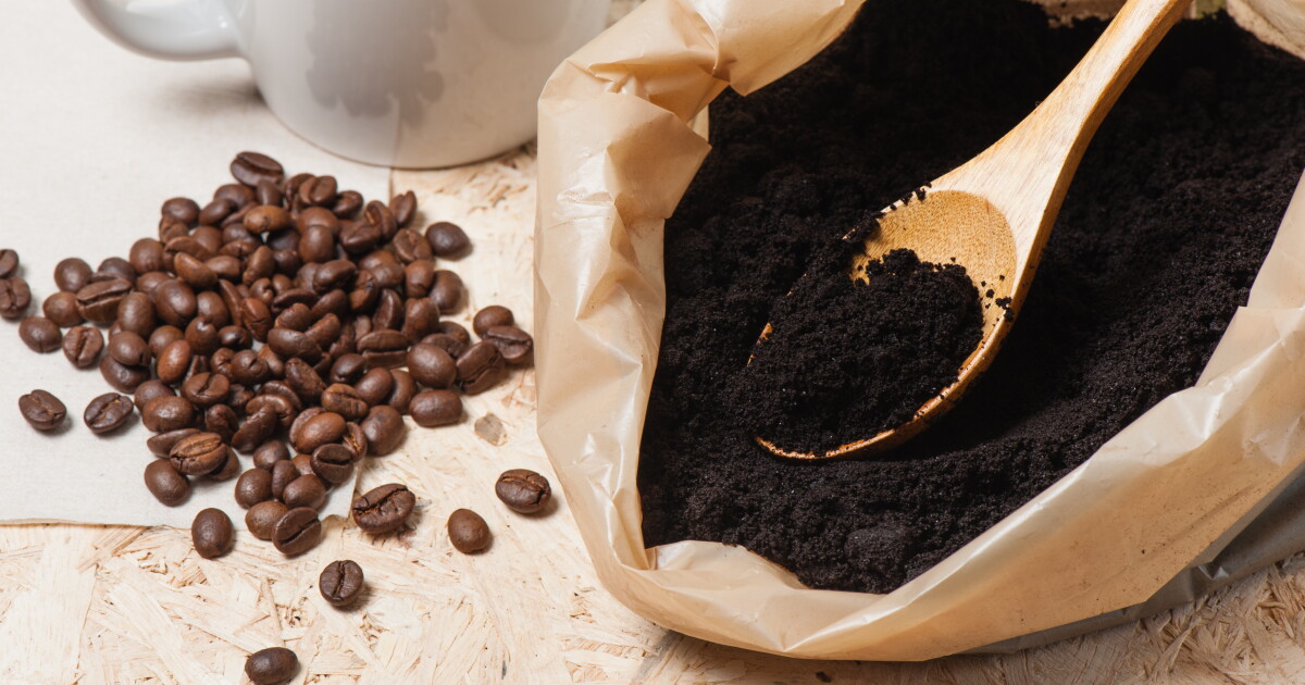 Verbrauchter Kaffeesatz kann das Gehirn vor neurodegenerativen ...