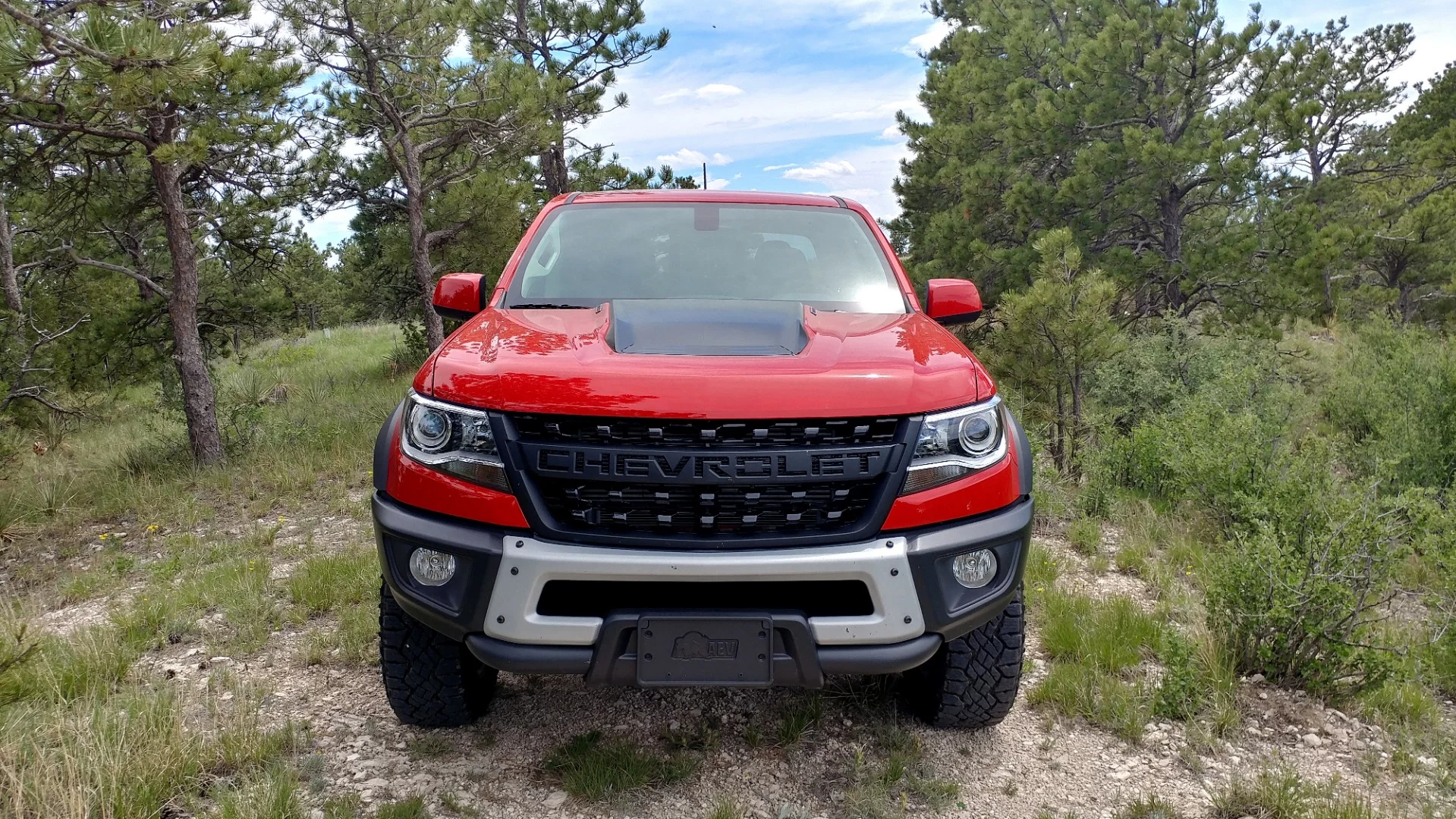 We got the best setup we could have asked for: the ZR2 packaged AEV Bison in crew cab with the diesel engine