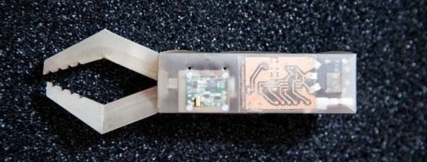 The research team have created a "printable" gripping tool, along with the insect-like robot