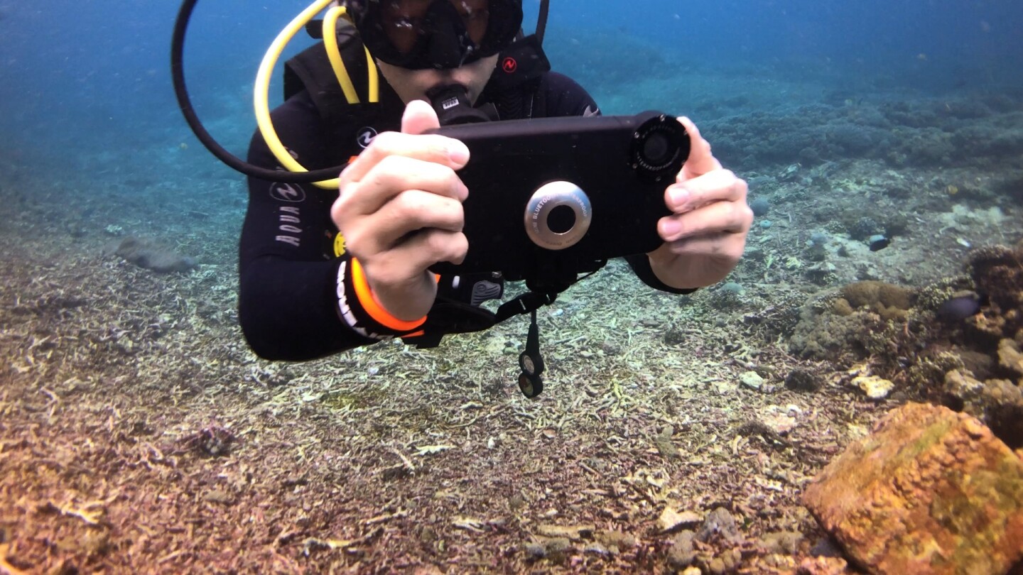 Bluetooth Device Lets You Use Your Smartphone As A Dive Computer