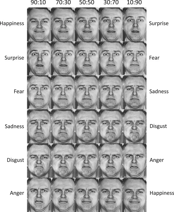 A sample of the way expressions were computer blended for the study
