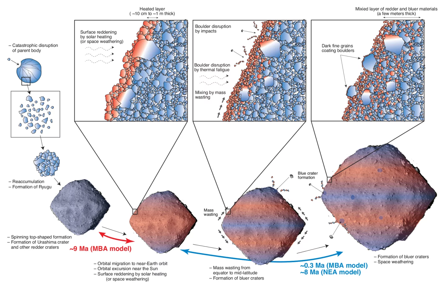 Diagram depicting the evolution of asteroid Ryugu