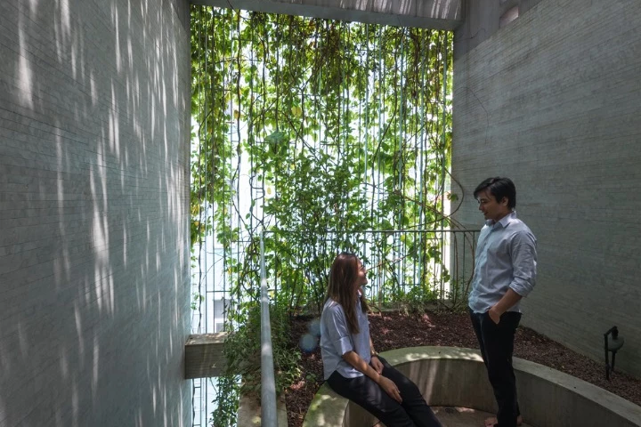 The Breathing House has a rooftop terrace area that is covered in greenery
