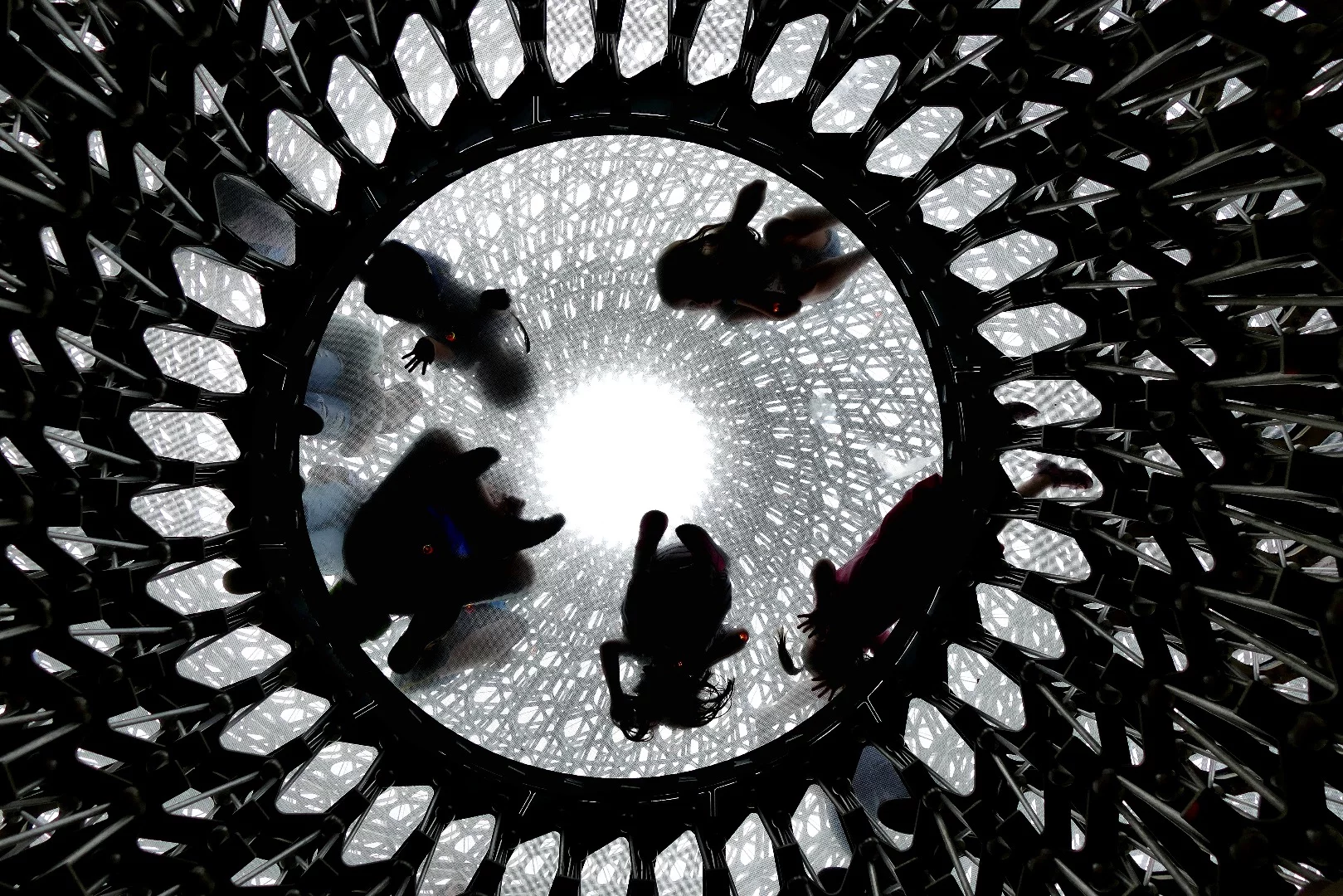 The Hive, Kew Gardens