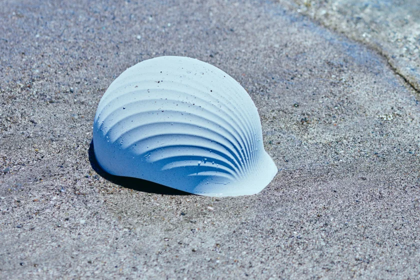 Spoot Shell Shellmet helmet is made of scallop shells – plus it looks like one