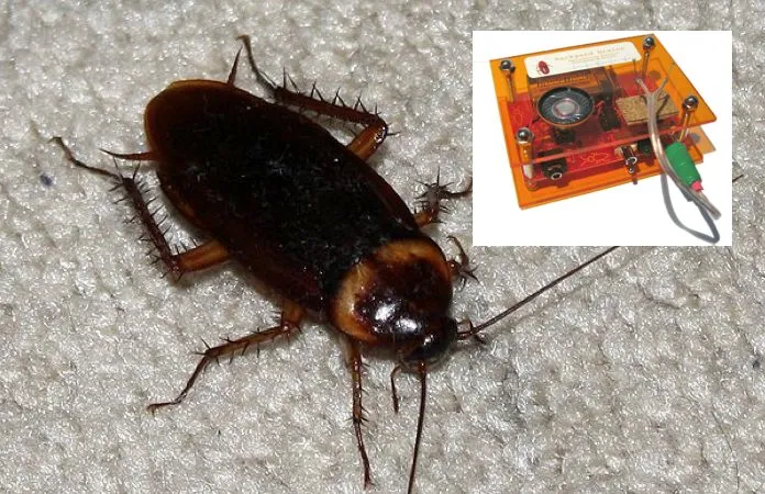 The SpikerBox is a scientific educational device, that lets you listen to the neural activity of bugs