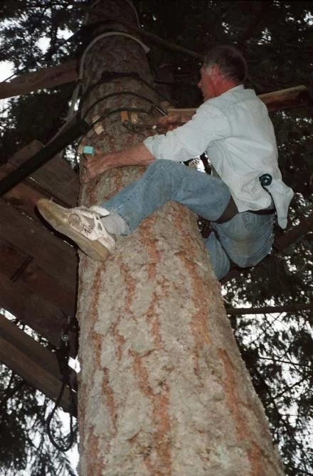 Tom loves to climb trees.