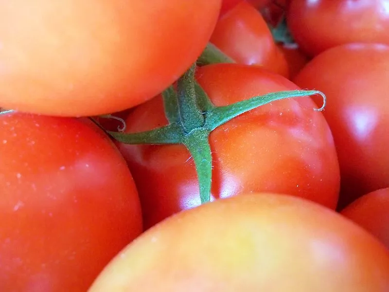 Scientists have discovered that treating fresh produce with ozone increases its resistance to fungal infection (Photo: Goldblattster)