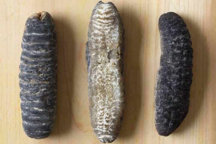 An Australian study has found that sea cucumbers may delay the onset of type 2 diabetes and reduce complications caused by the disease